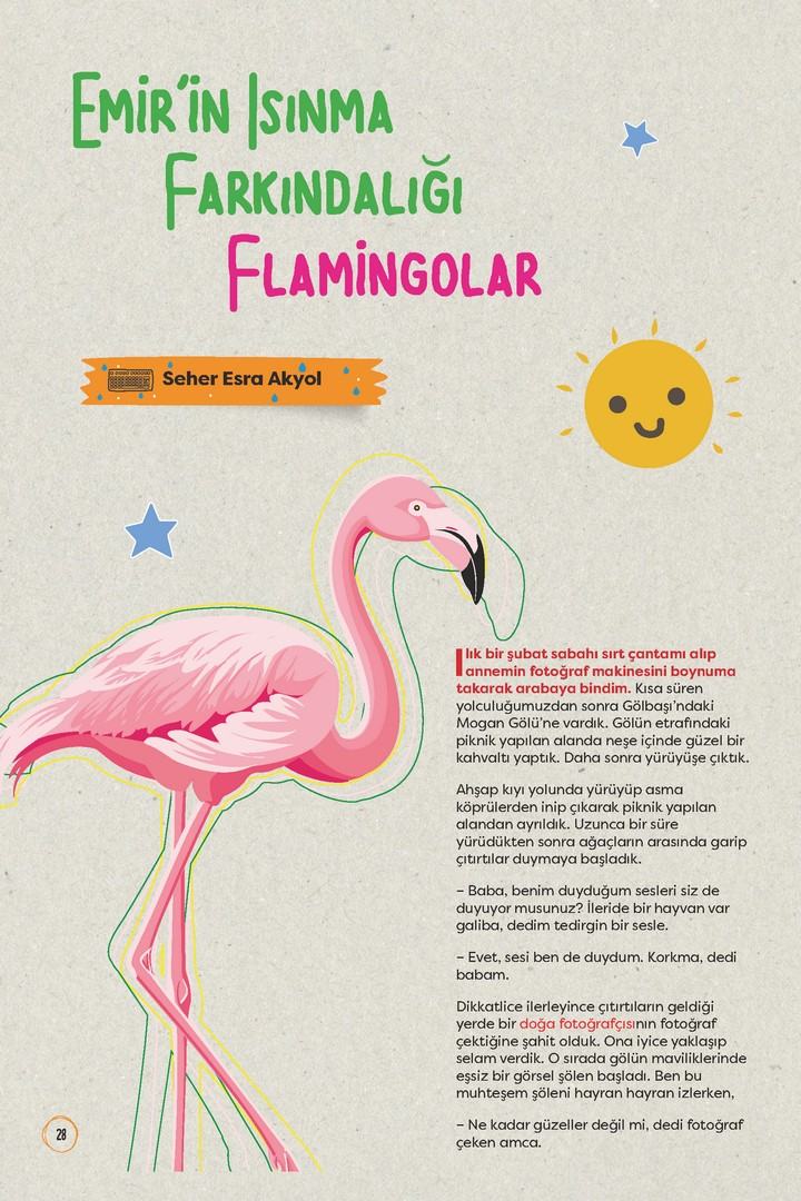Emir'in Isınma Farkındalığı Flamingolar